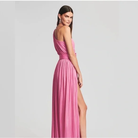 NWT Retrofete Andrea dress pink size XS - Picture 3 of 9